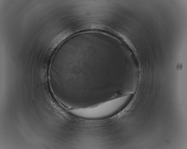 X0000088850977200706291451