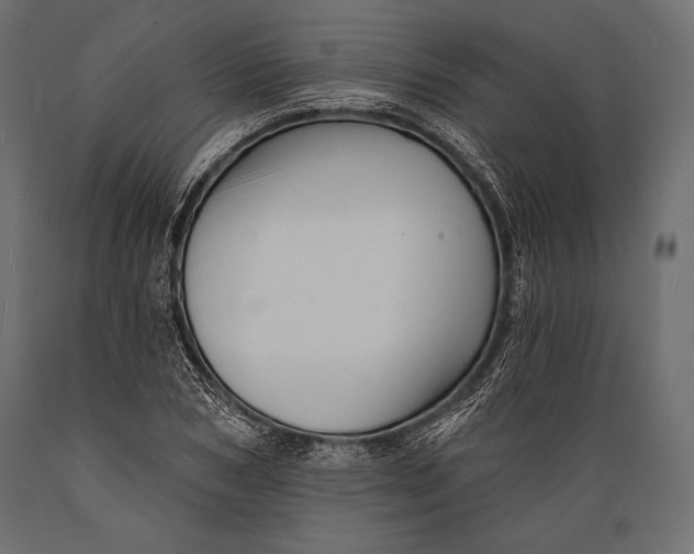 X0000088850978200706291451