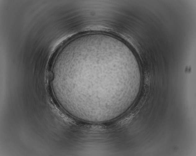 X0000088850979200706291451