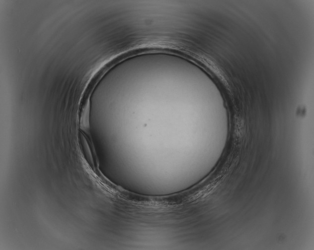 X0000088850980200706291451