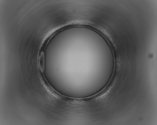 X0000088850981200706291451