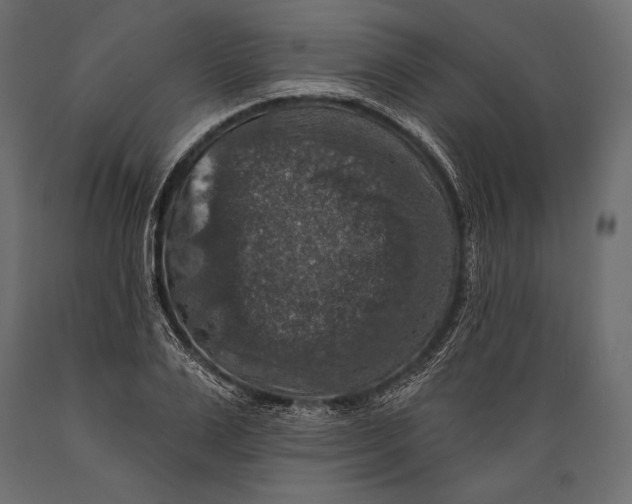 X0000088850983200706291451