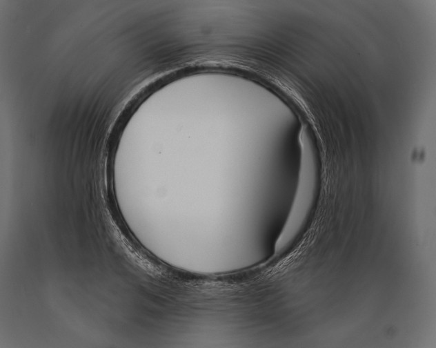 X0000088850984200706291451