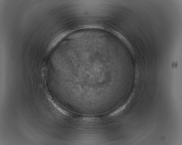 X0000088850985200706291451