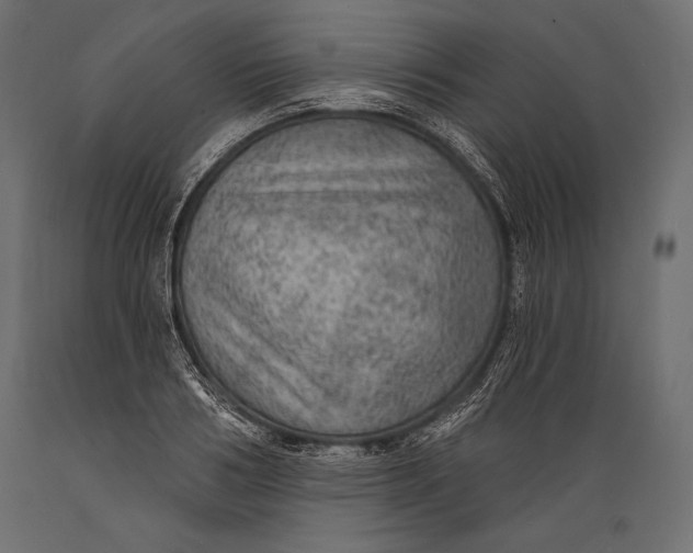 X0000088850986200706291451