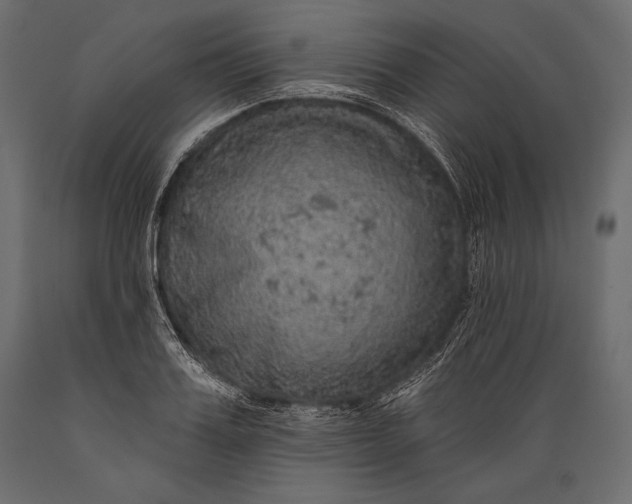 X0000088850987200706291451