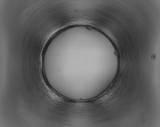 X0000088850988200706291451