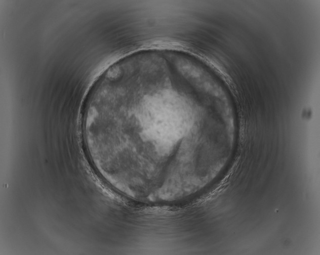 X0000088850990200706291451