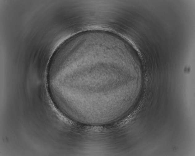 X0000088850991200706291451