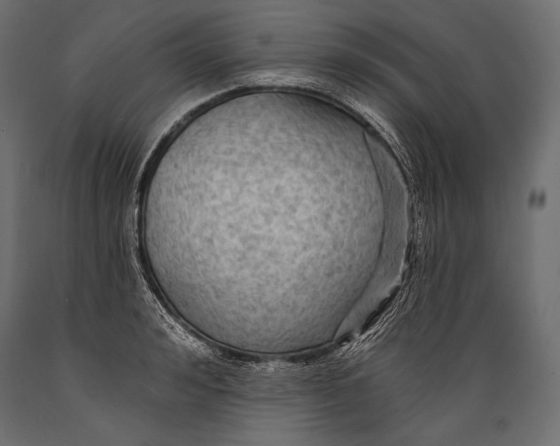 X0000088850992200706291451