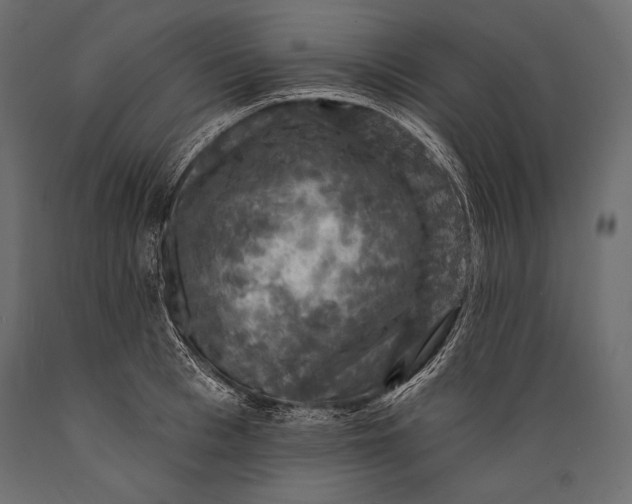 X0000088850993200706291451