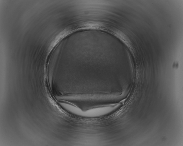 X0000088850994200706291451