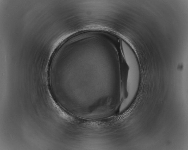 X0000088850995200706291451