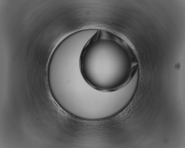 X0000088850996200706291451