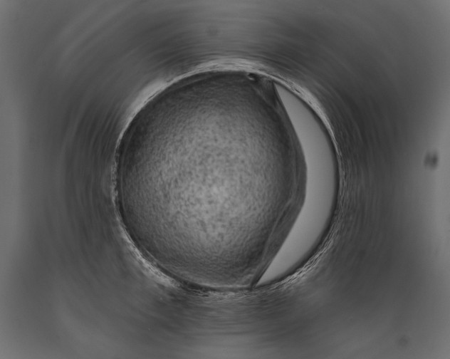 X0000088850997200706291451