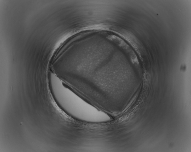 X0000088850998200706291451