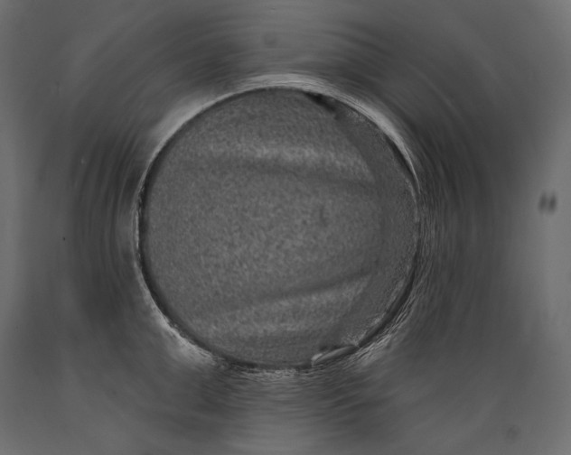 X0000088850999200706291451