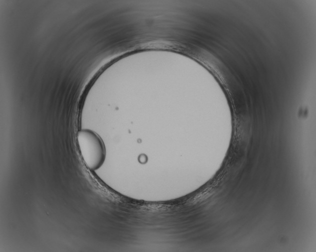 X0000088851000200706291451