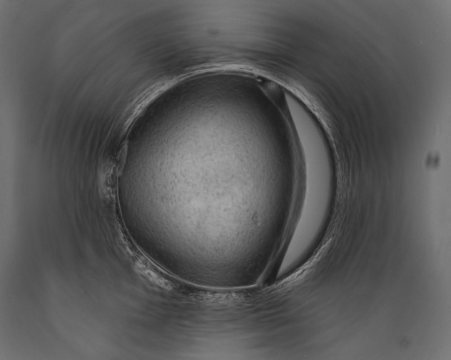 X0000088851001200706291451