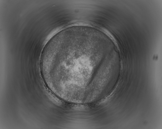 X0000088851002200706291451