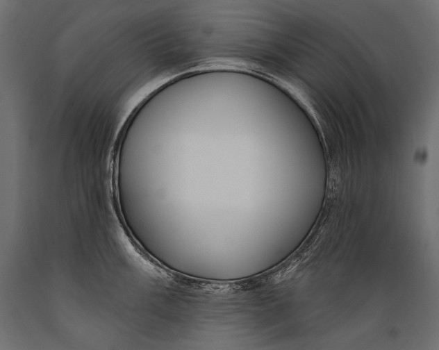 X0000088851003200706291451