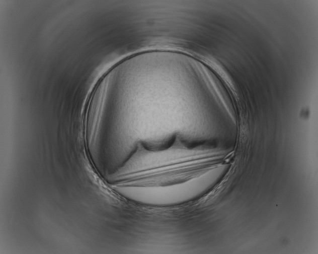 X0000088851004200706291451