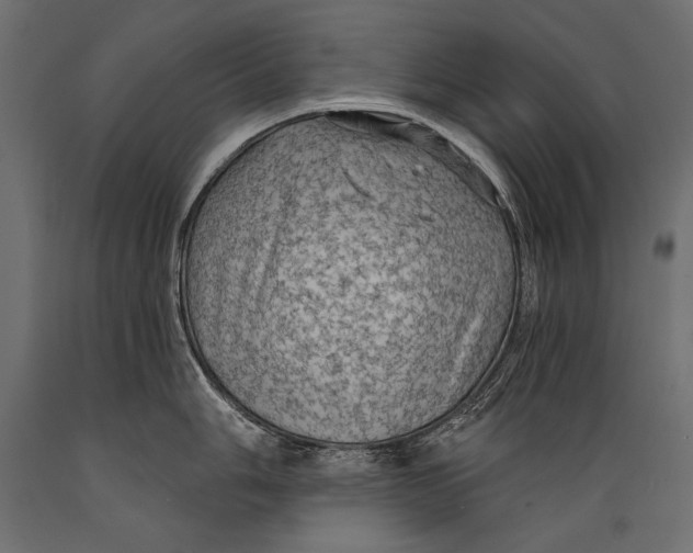 X0000088851006200706291451