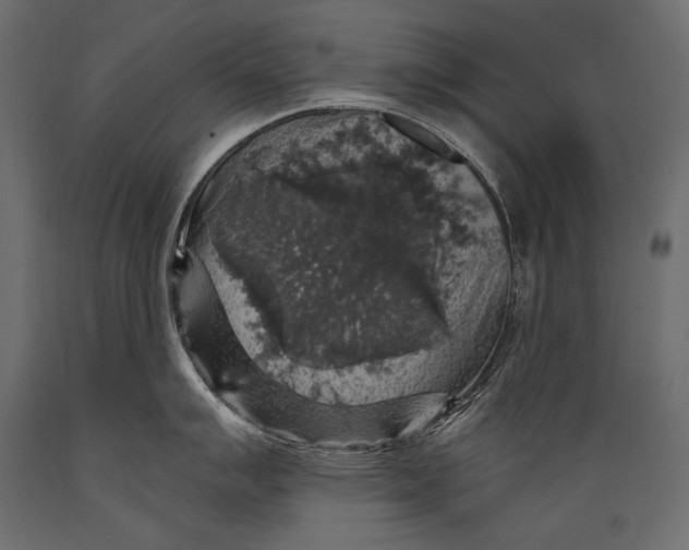 X0000088851007200706291450