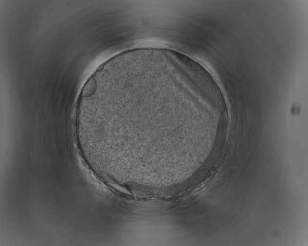 X0000088851008200706291450