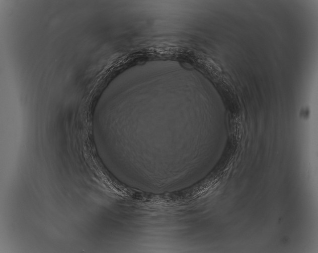 X0000088851009200706291450