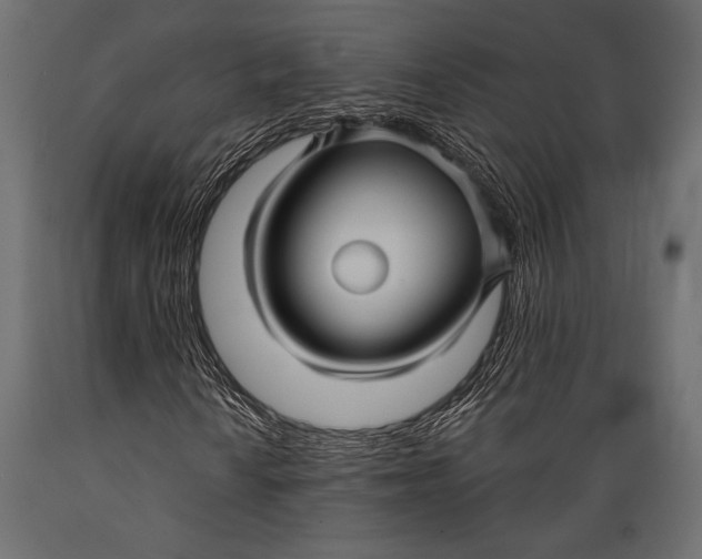 X0000088851010200706291450