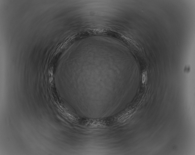 X0000088851011200706291450