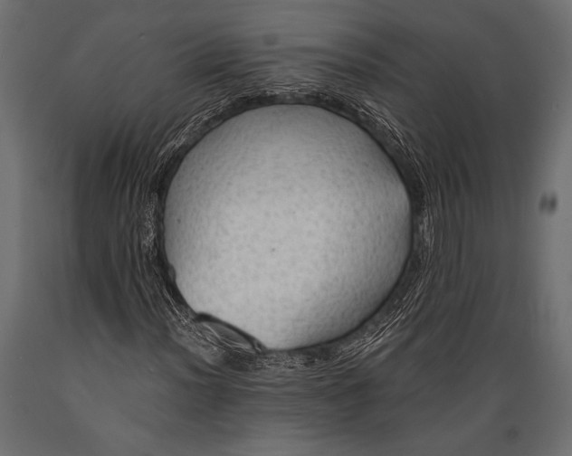 X0000088851012200706291450