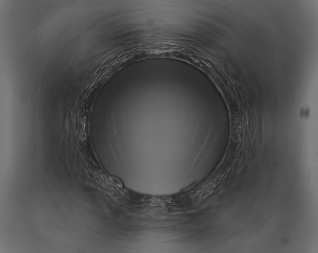 X0000088851013200706291450