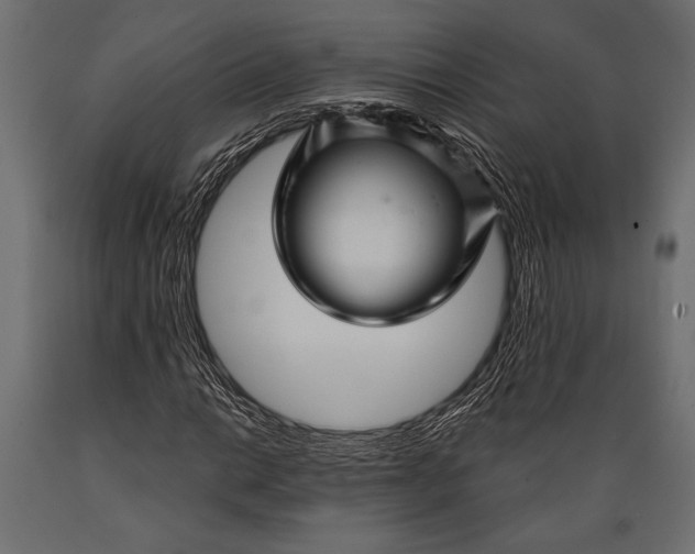 X0000088851014200706291450