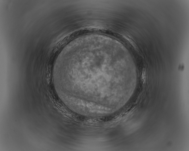 X0000088851015200706291450