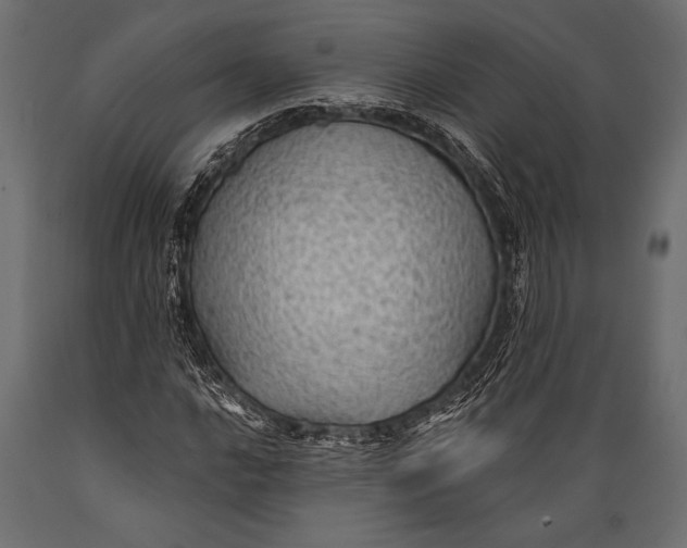 X0000088851016200706291450