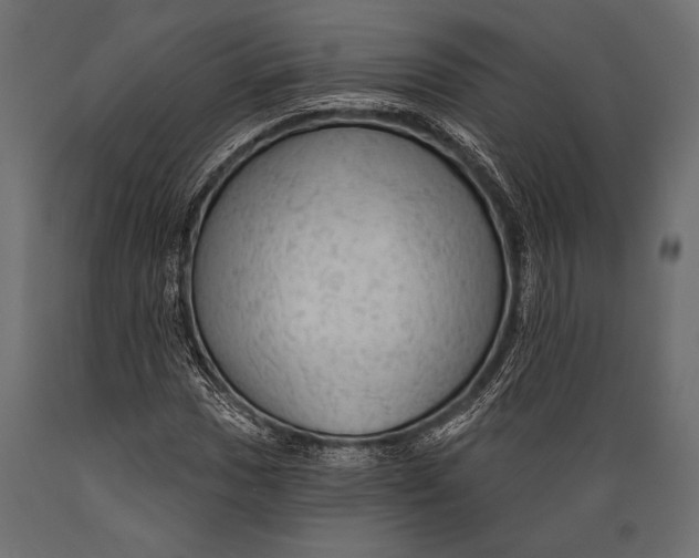 X0000088851017200706291450