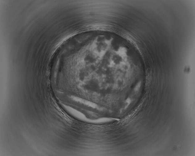 X0000088851019200706291450