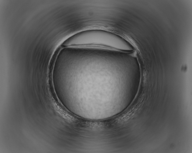 X0000088851020200706291450