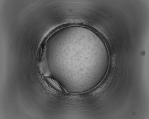 X0000088851021200706291450