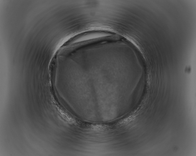 X0000088851022200706291450