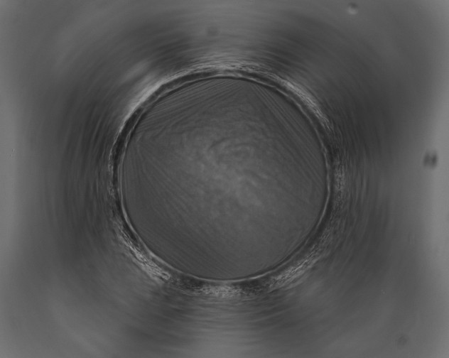 X0000088851023200706291450