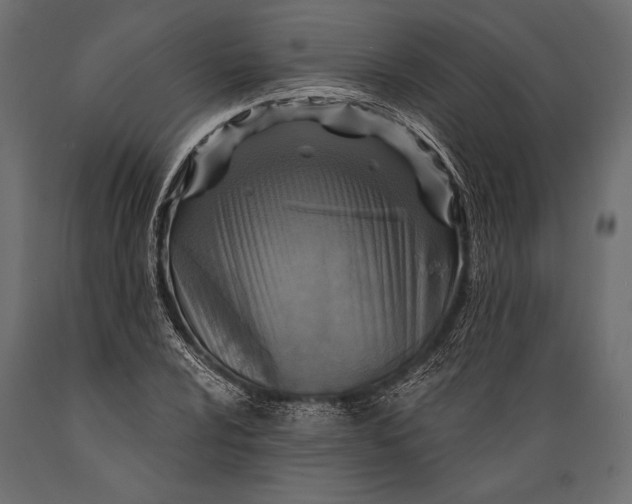 X0000088851024200706291450