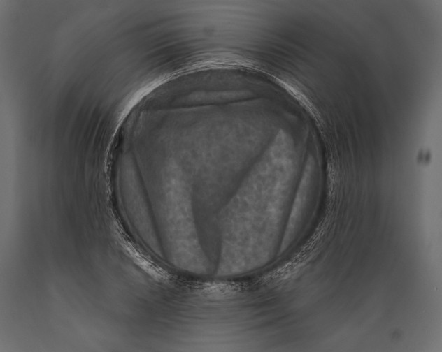 X0000088851026200706291450