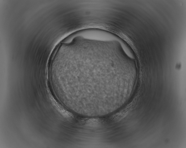 X0000088851028200706291450