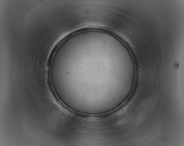 X0000088851029200706291450