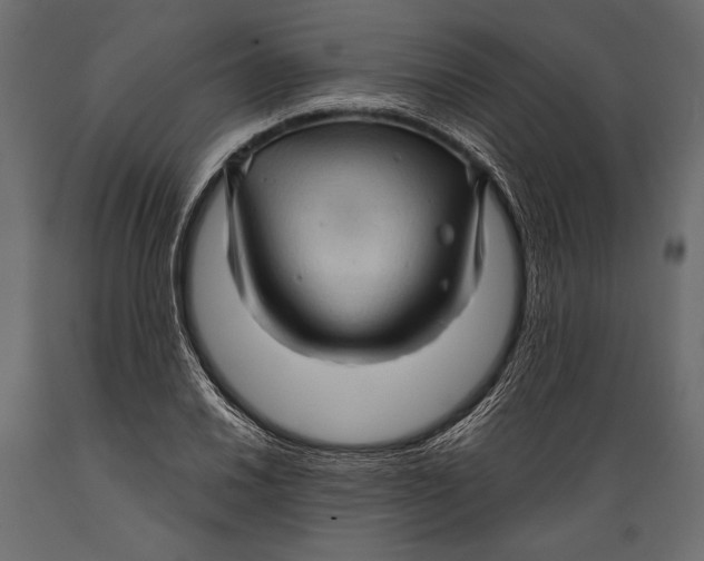 X0000088851030200706291450