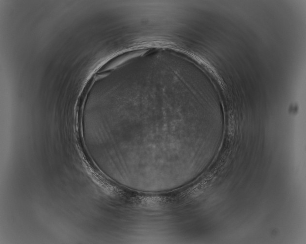 X0000088851031200706291450