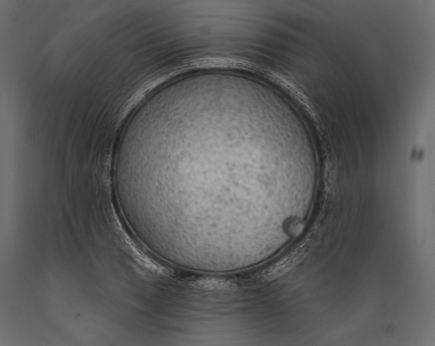 X0000088851033200706291450